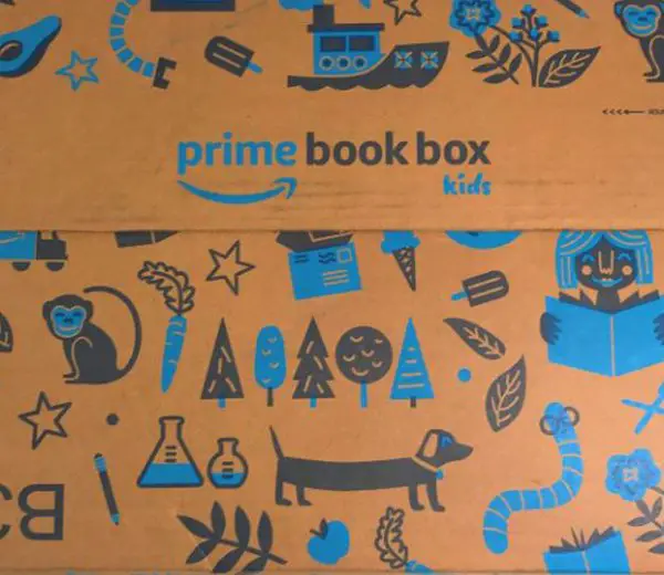 Amazon prime book box | momsequation.com