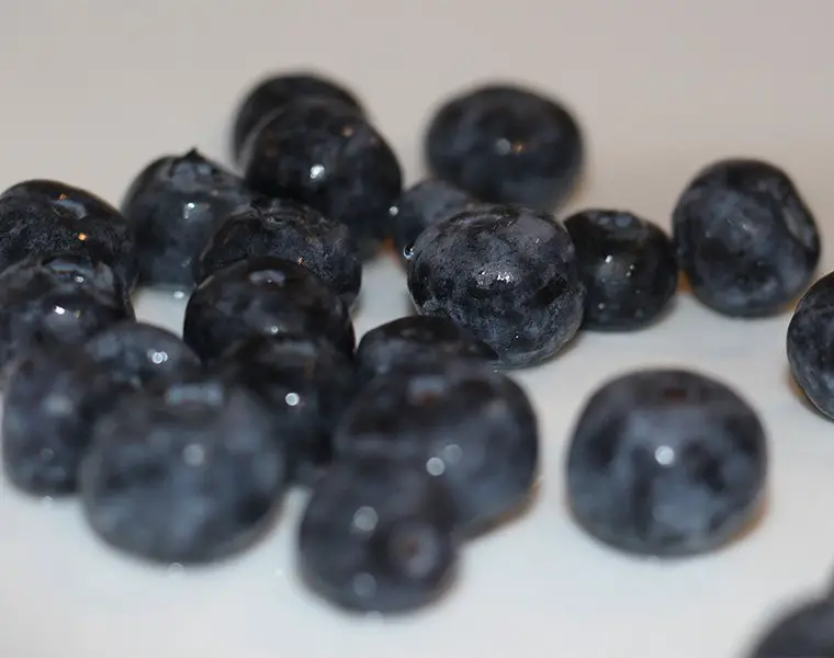 blueberries | momsequation.com