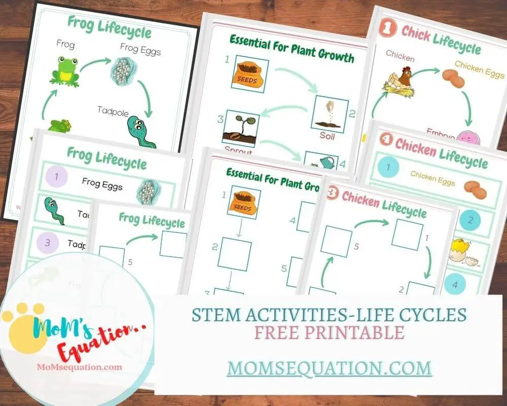 STEM Activity worksheets|momsequation.com
