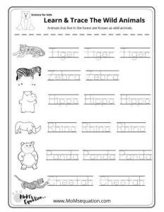 Science worksheets for kindergarten |momsequation.com