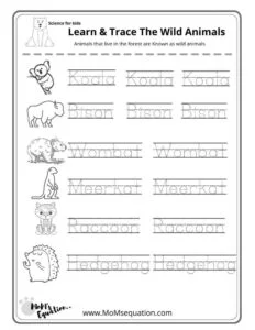 learn trace the wild animals free worksheet pack mom