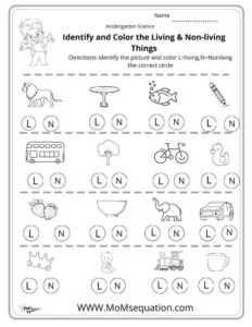 Living & Non-living things worksheets |momsequation.com