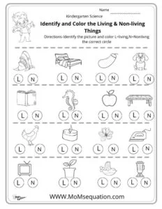 Living & Non-living things worksheets |momsequation.com