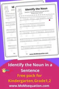 Nouns worksheet pack|momsequation.com