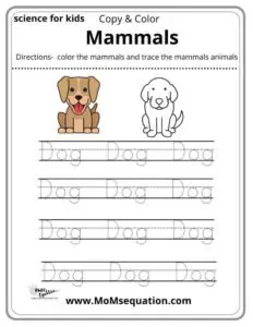 Mammals coloring pages | momsequation.com