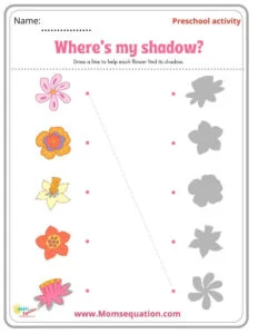Shadow matching worksheets|momsequation.com