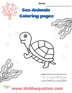 sea-animals coloring pages|www.MoMsequation.com