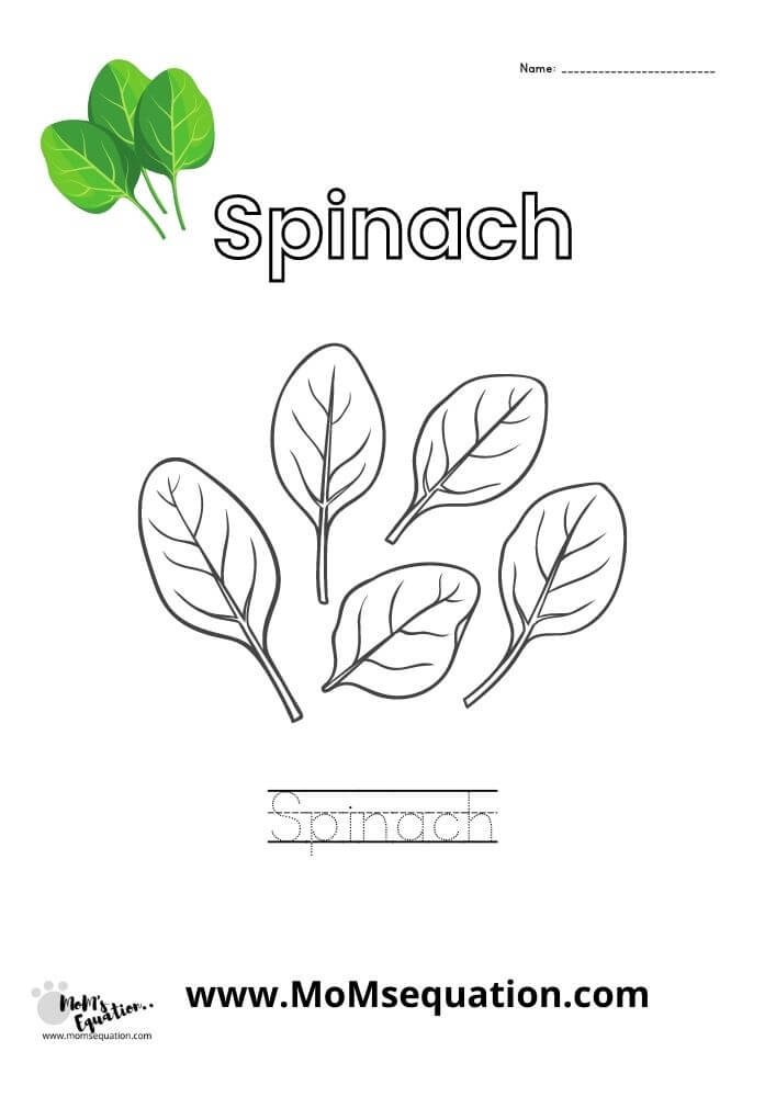 Fruits and Vegetables Coloring pages PDF - Mom'sEquation