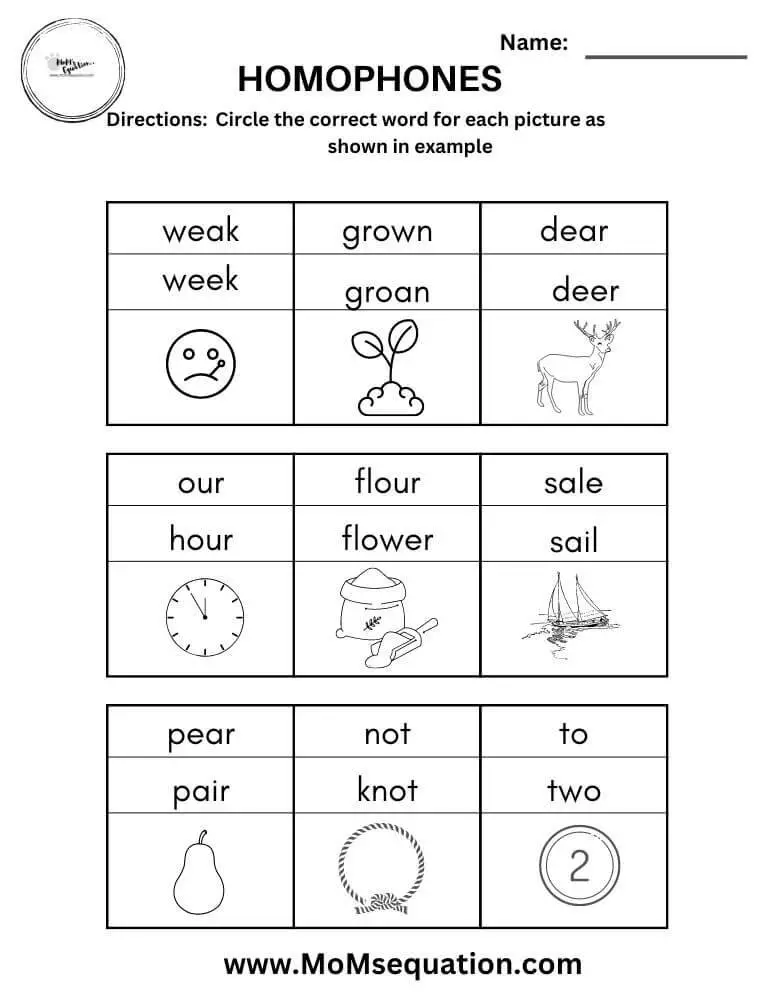 Homophones Worksheets PDF For First Graders -Free Printable PDF - Mom ...