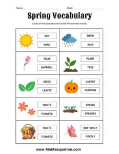 Spring vocabulary worksheets PDF|www.MoMsequation.com